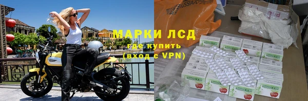спайс Касимов